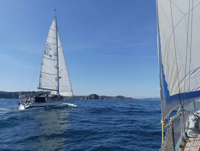 SY Mazout unter Segeln